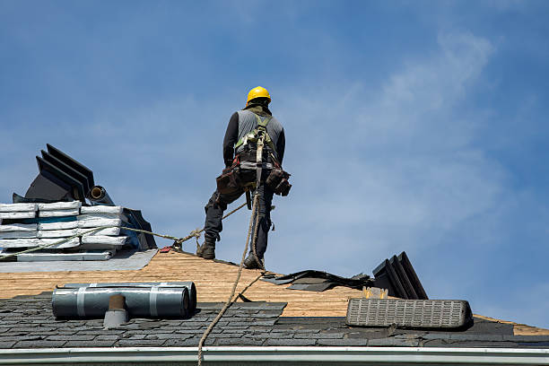 Professional Gutter Installation technician working in Selbyville, DE
